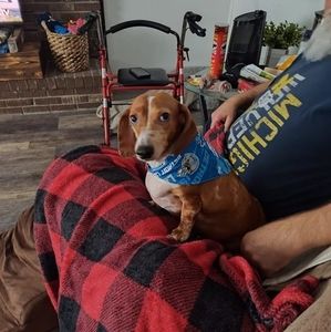 Meet your Posher, Lisa